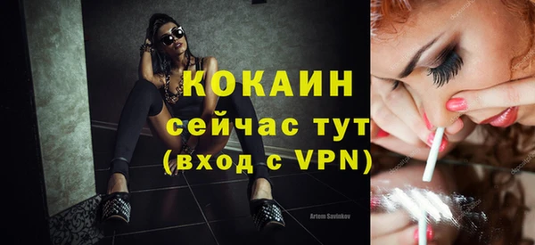 шишки Белокуриха