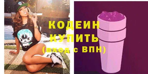 шишки Белокуриха