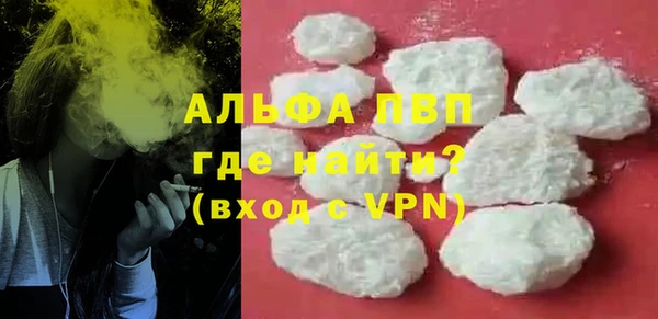 шишки Белокуриха