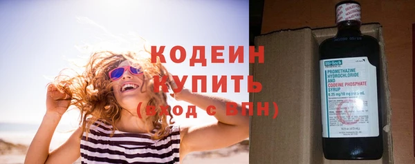 шишки Белокуриха
