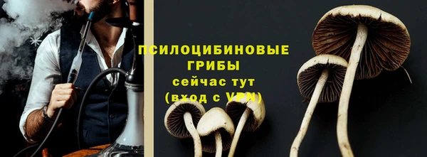 спиды Беломорск