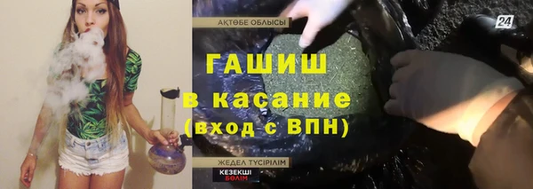 шишки Белокуриха