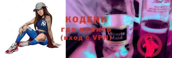 шишки Белокуриха