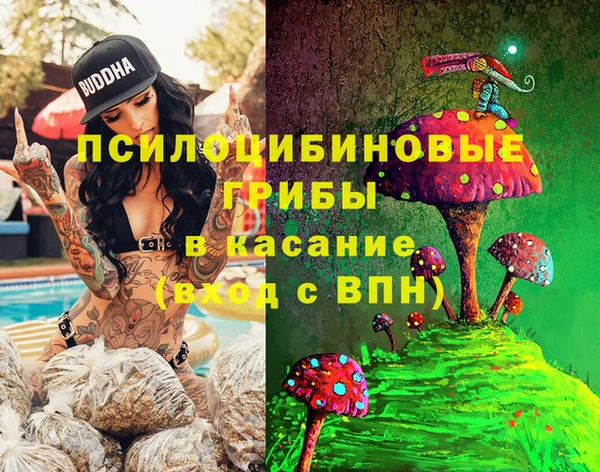 ПСИЛОЦИБИНОВЫЕ ГРИБЫ Богданович