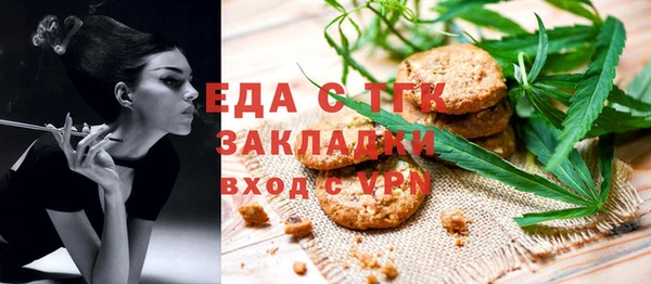 шишки Белокуриха