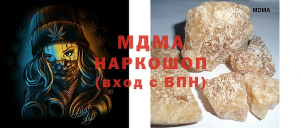 шишки Белокуриха