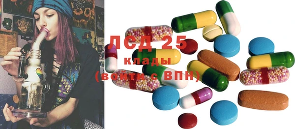 шишки Белокуриха