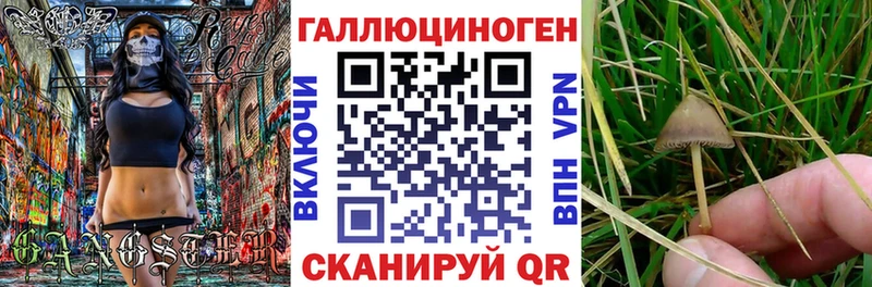 Галлюциногенные грибы прущие грибы  Нахабино 
